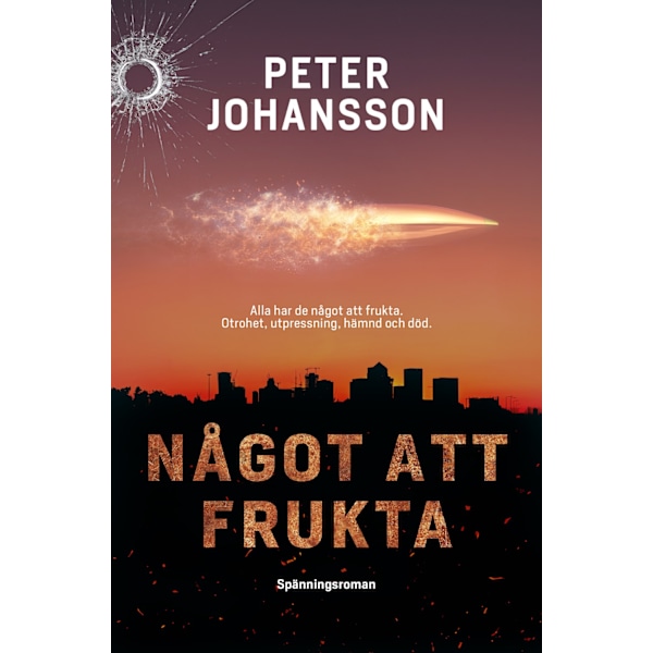 Något att frukta 9789189869066
