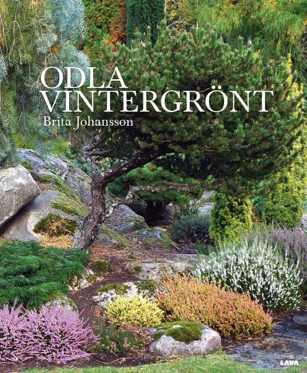 Odla vintergrönt 9789181010688
