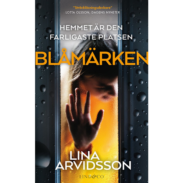 Blåmärken 9789179035273