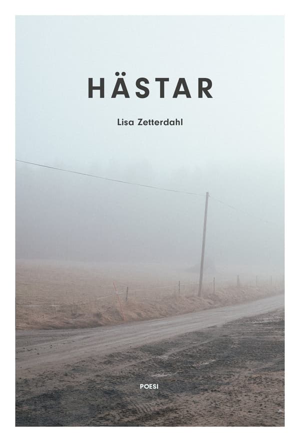 Hästar 9789198618365