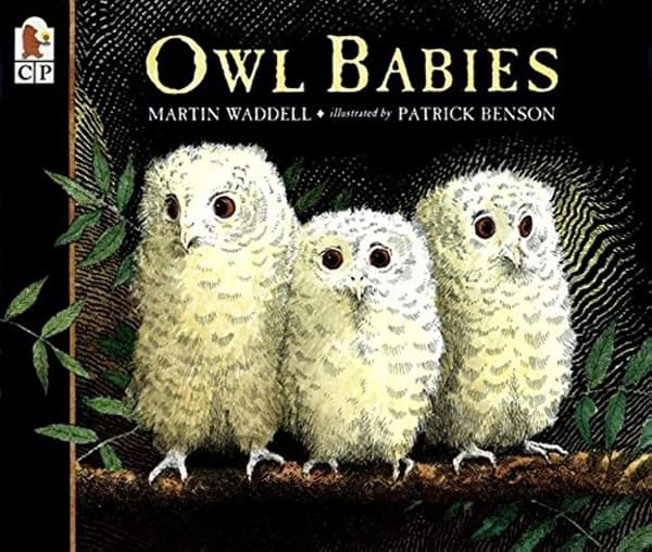 Owl Babies 9780763617103