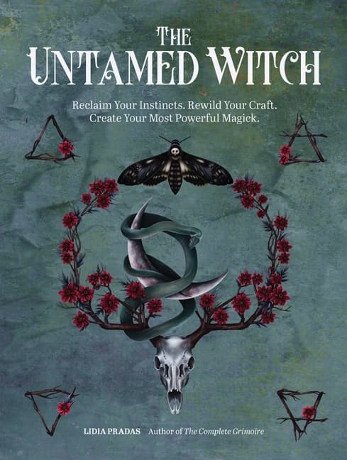 Untamed Witch 9780760376638