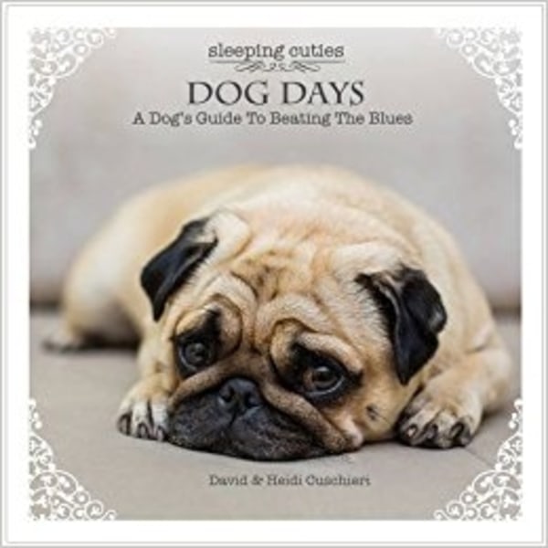 Dog Days : A Dog's Guide to Beating the Blues 9781922161598