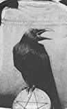 Crows bag (satin) 9788865276785
