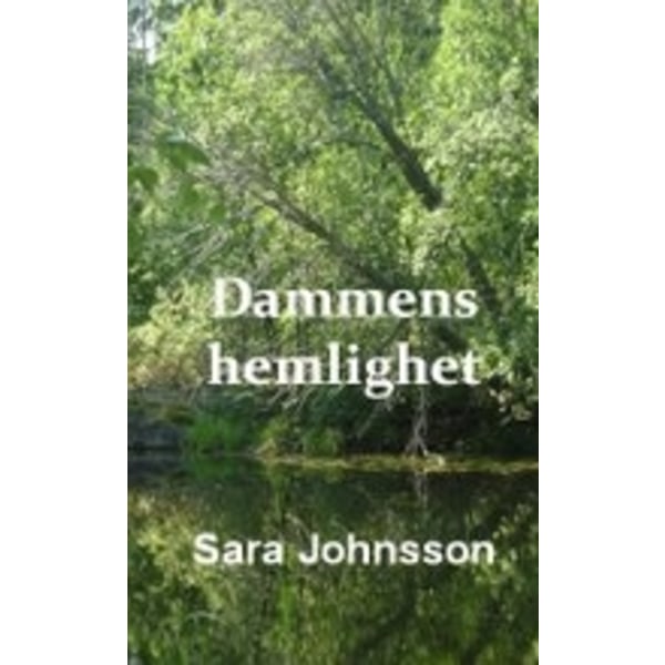 Dammens hemlighet 9789197908214