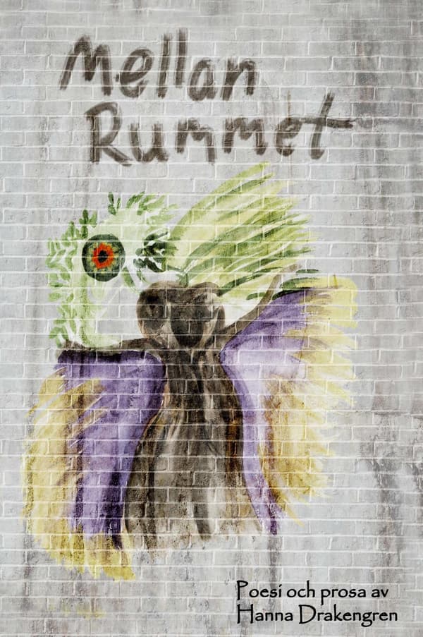 Mellan rummet 9789197961011