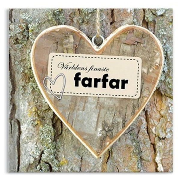 Världens finaste farfar 9789187501319