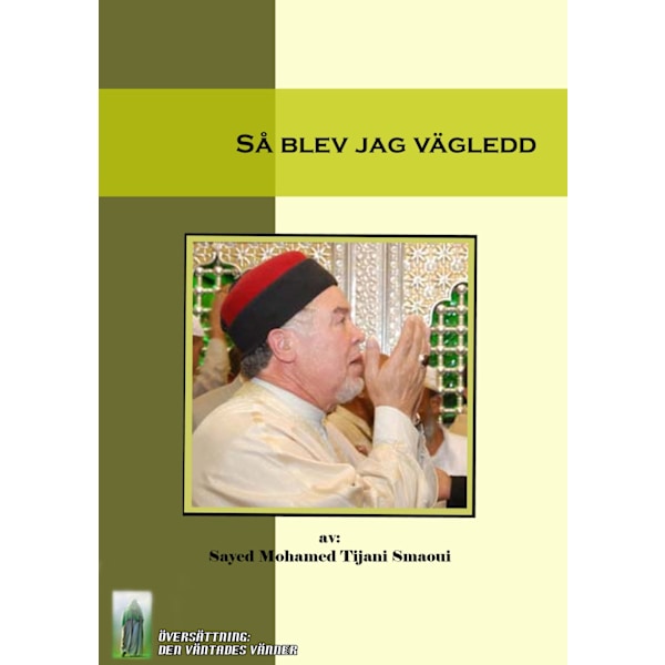 Så blev jag vägledd 9789186267087