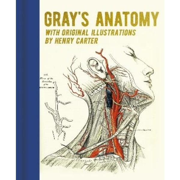 Gray's Anatomy 9781398819283