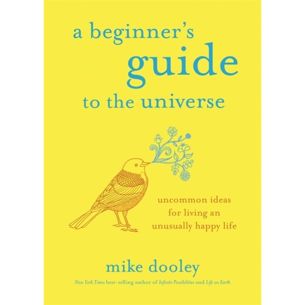 A Beginner's Guide to the Universe 9781401955021