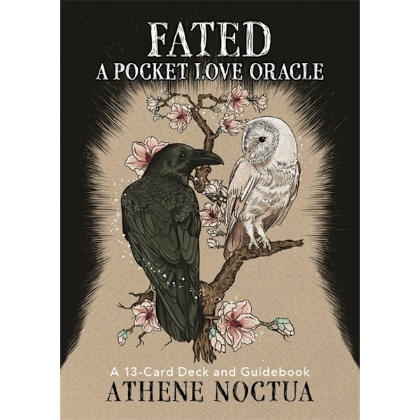 Fated: A Pocket Love Oracle 9781401978594