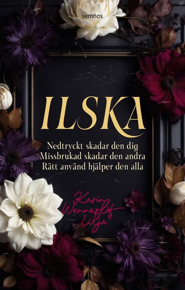 Ilska 9789189856912