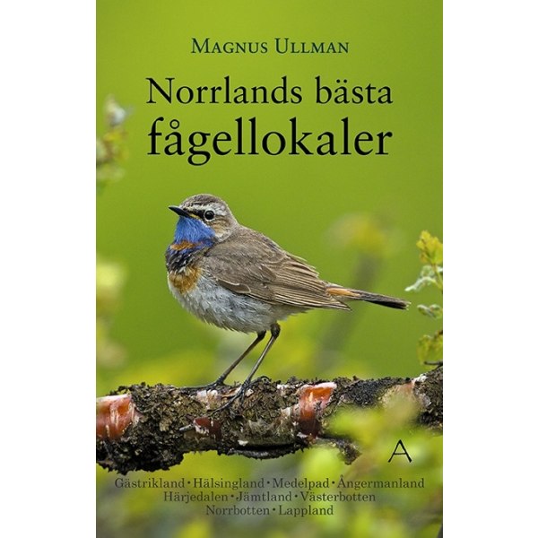 Norrlands bästa fågellokaler 9789198516517