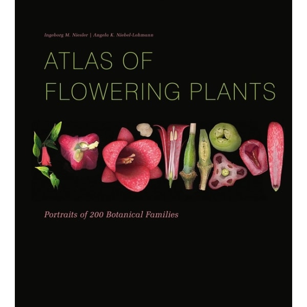 Atlas Of Flowering Plants 9780764361333