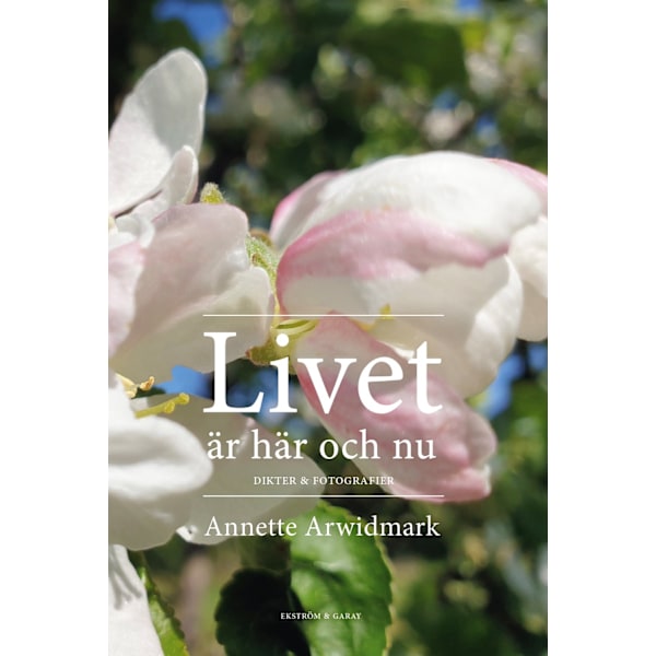 Livet: är här och nu 9789189907874