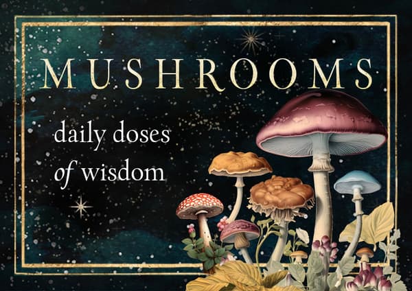 Mushrooms 9781590035726