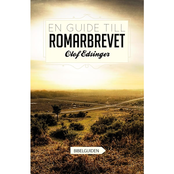 En guide till Romarbrevet 9789198318616