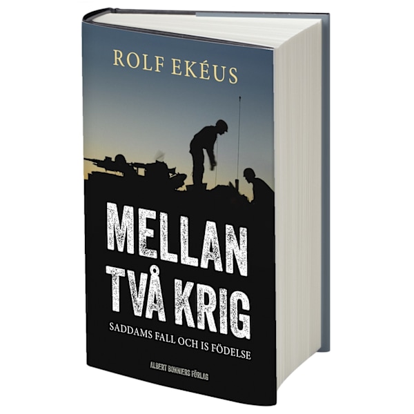 Mellan två krig : Saddams fall och IS födelse 9789100158897