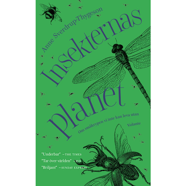Insekternas planet 9789189043688
