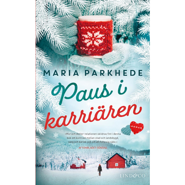 Paus i karriären 9789180181624