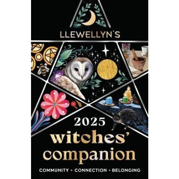 Llewellyn's 2025 Witches' Companion 9780738772028