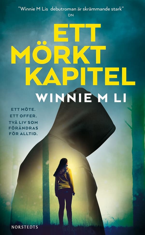 Ett mörkt kapitel 9789113088068