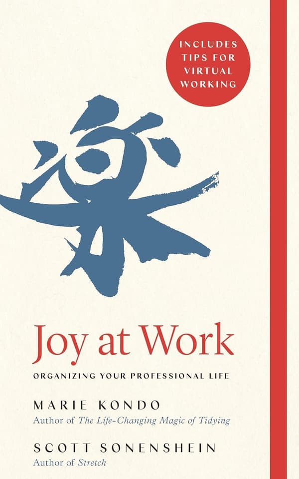 Joy at Work 9781529005394