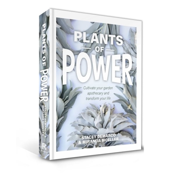 Plants Of Power 9781925924350