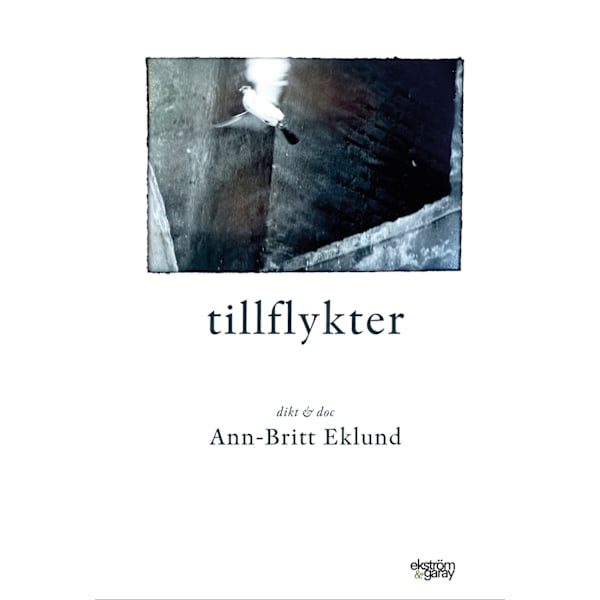 Tillflykter 9789189397859