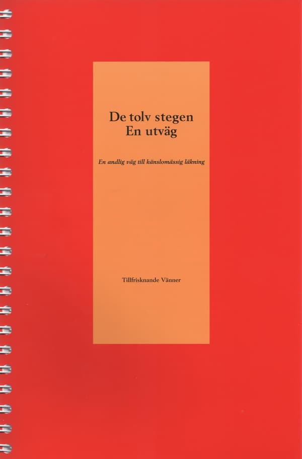De tolv stegen 9789163069901