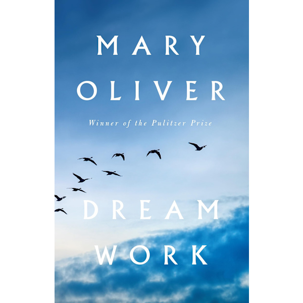 Dream Work 9781804710937