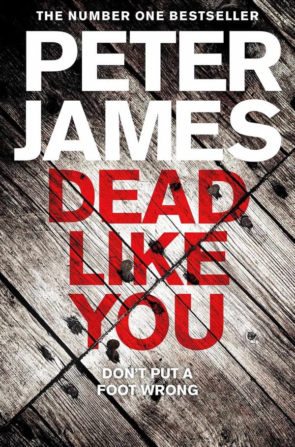 Dead Like You 9781509898855