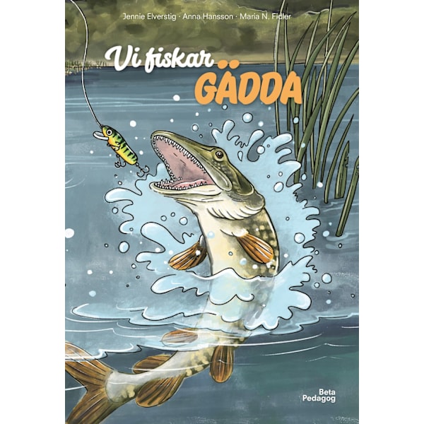Vi fiskar gädda 9789189697119