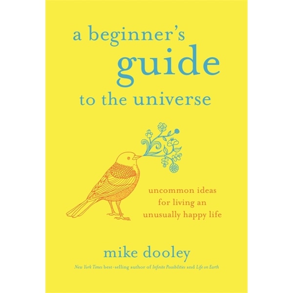 A Beginner's Guide to the Universe 9781788170291
