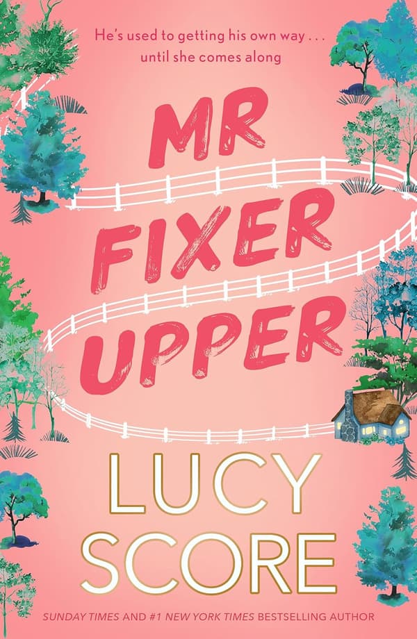 Mr Fixer Upper 9781399735513