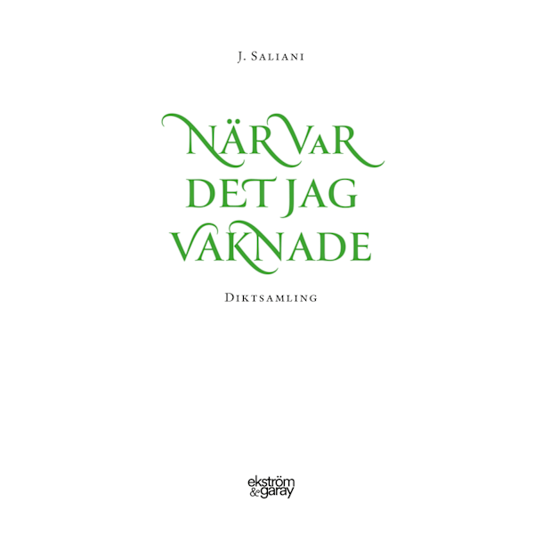 När var det jag vaknade 9789189559912