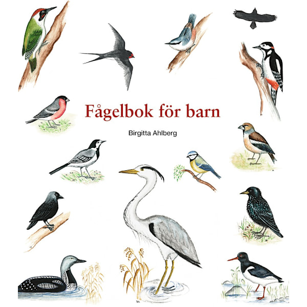 Fågelbok för barn 9789198940701