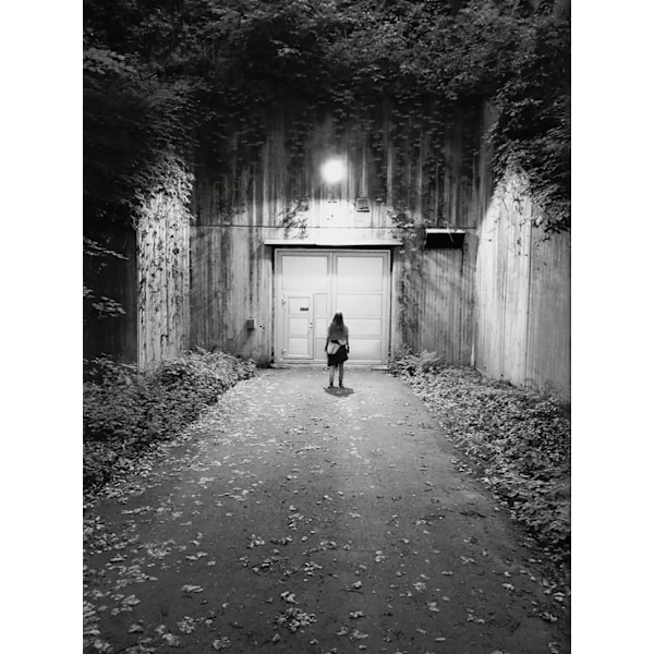 Min psykotiska vandrarhemsupplevelse 9789189850583