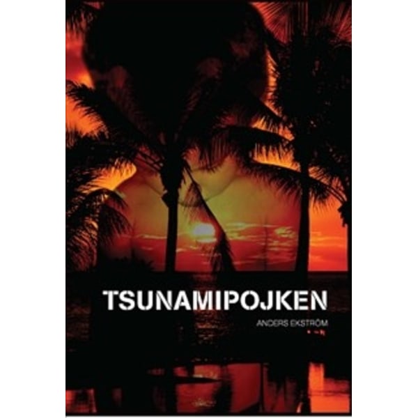 Tsunamipojken 9789187119576