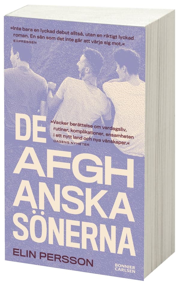 De afghanska sönerna 9789179753702