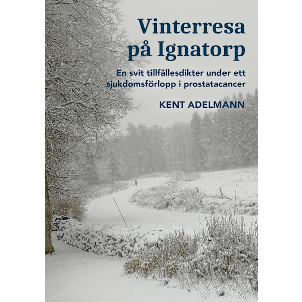 Vinterresa på Ignatorp 9789152773758