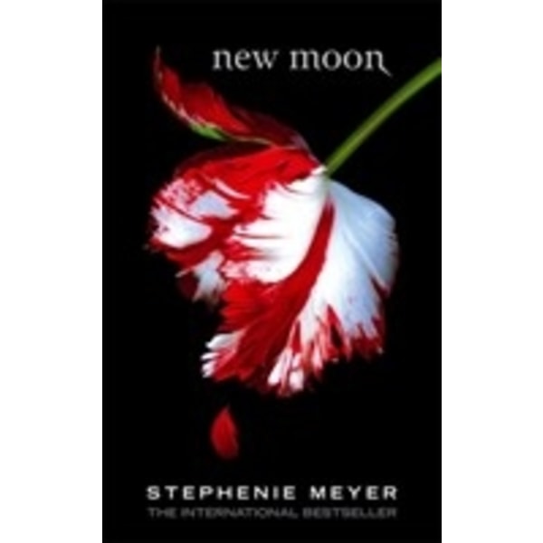 New moon 9781904233886