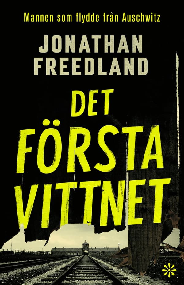Det första vittnet 9789179652807