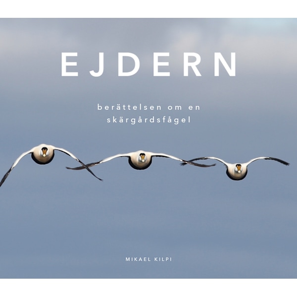 Ejdern - berättelsen om en skärgårdsfågel 9789527587188