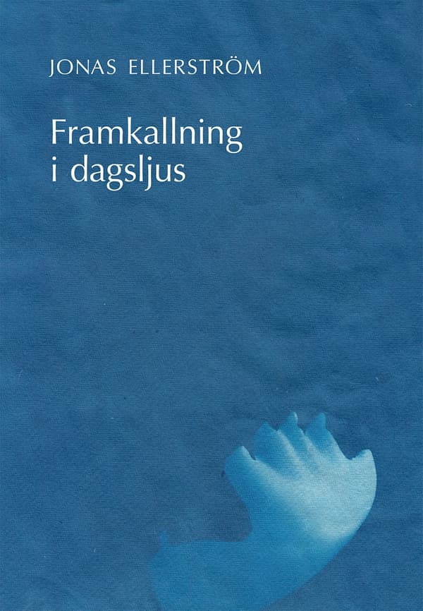Framkallning i dagsljus 9789172476080