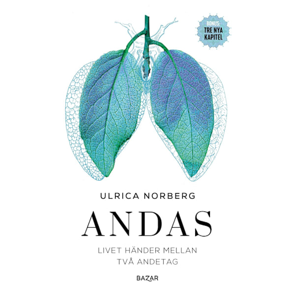 Andas : livet händer mellan två andetag 9789180064453