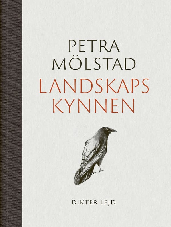 Landskapskynnen 9789185725816