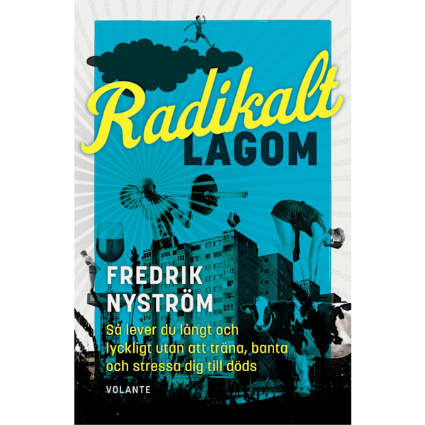 Radikalt lagom 9789179651121
