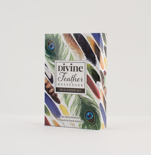Divine Feather Messenger 9781572819627
