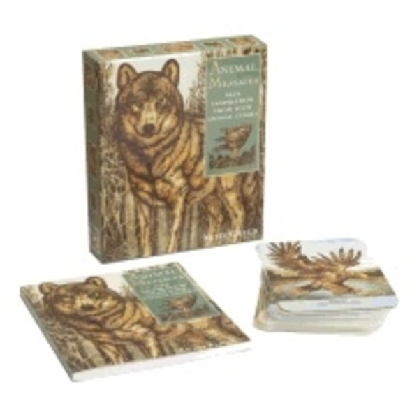 Animal messages 9781904991847